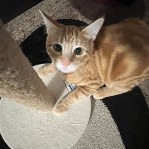 Meet your Posher, Melanie